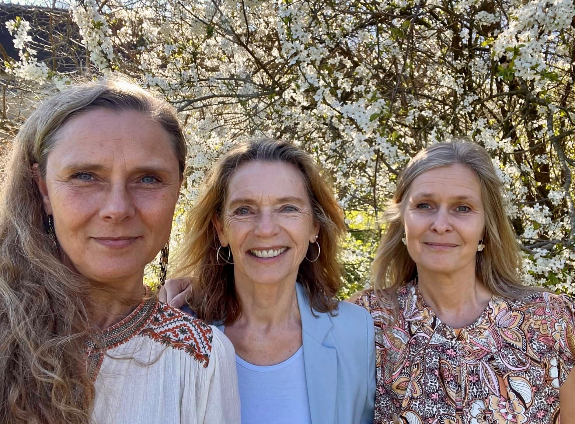 Nulstil dit Nervesystem